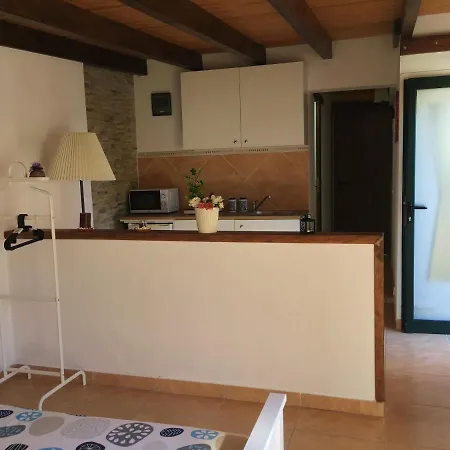 Studio Calle Cardon Apartment Corralejo